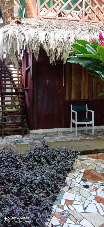 Cabinas Talamanca Sa Ξενοδοχείο Puerto Viejo de Talamanca Εξωτερικό φωτογραφία