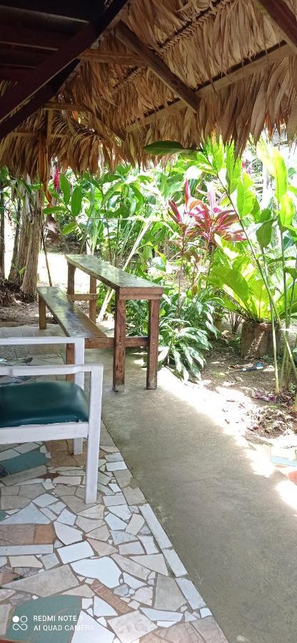 Cabinas Talamanca Sa Ξενοδοχείο Puerto Viejo de Talamanca Εξωτερικό φωτογραφία